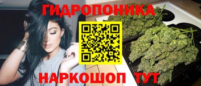 гидропоника Канаш