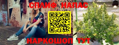 мдпв Кандалакша