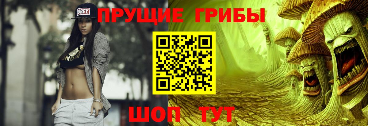 Кандалакша  Псилоцибиновые грибы мицелий  Вход с VPN 